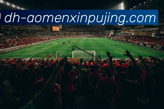 澳门新葡京娱乐全站App